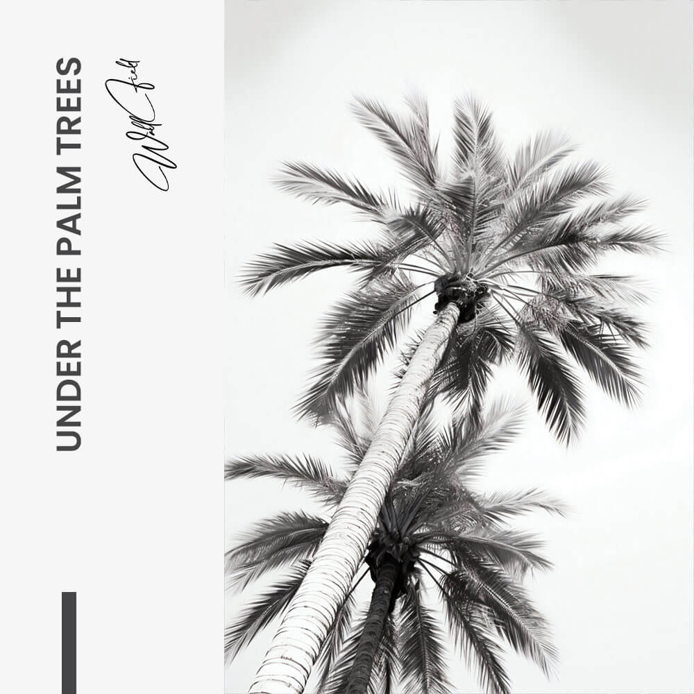 Under The Palm Trees – Vetro