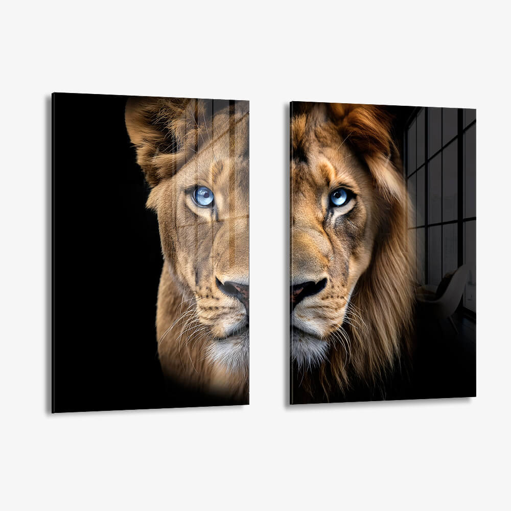 Bundle: "Blue Eyed Lions" (2x) – Glass