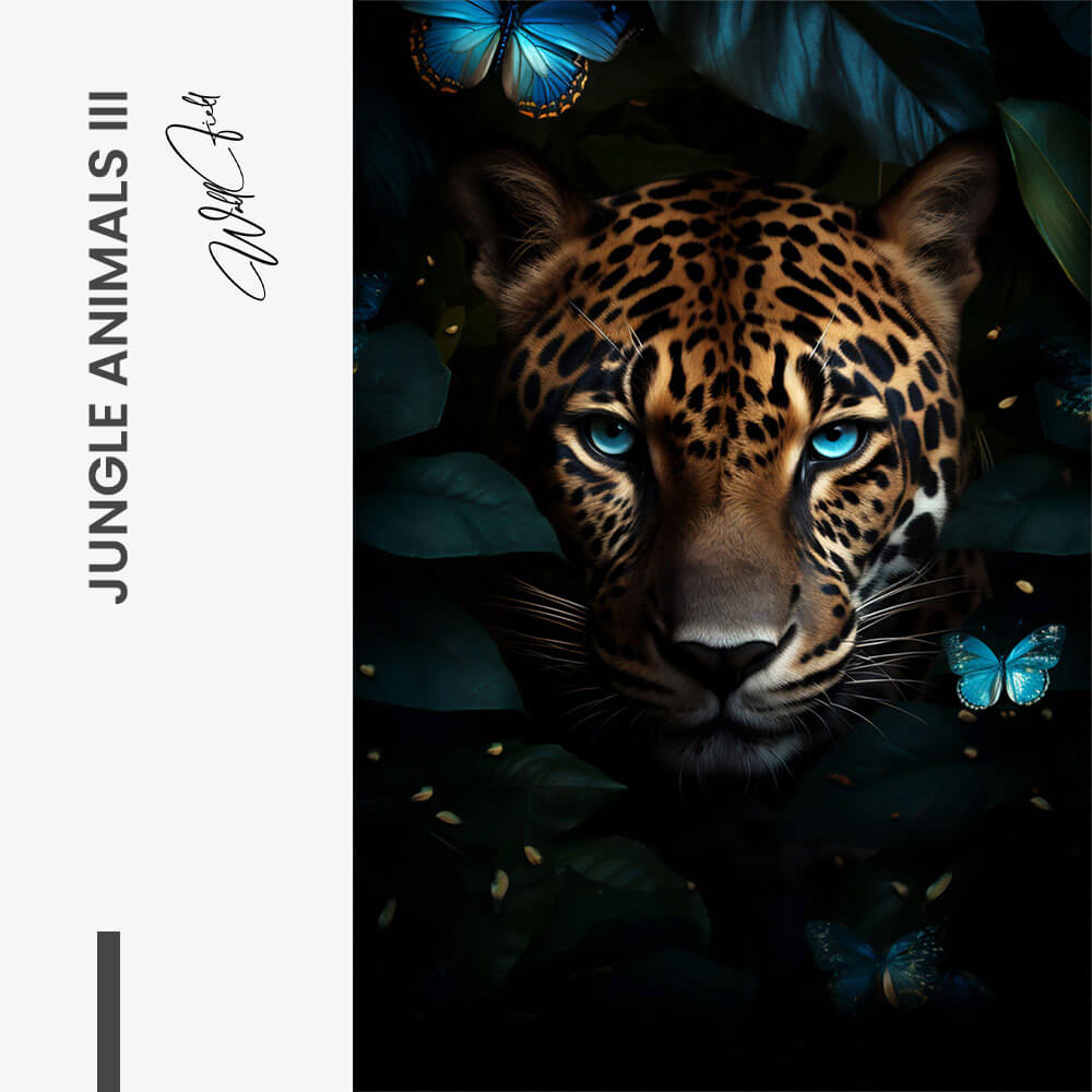 Bundle: "Native" (3x)