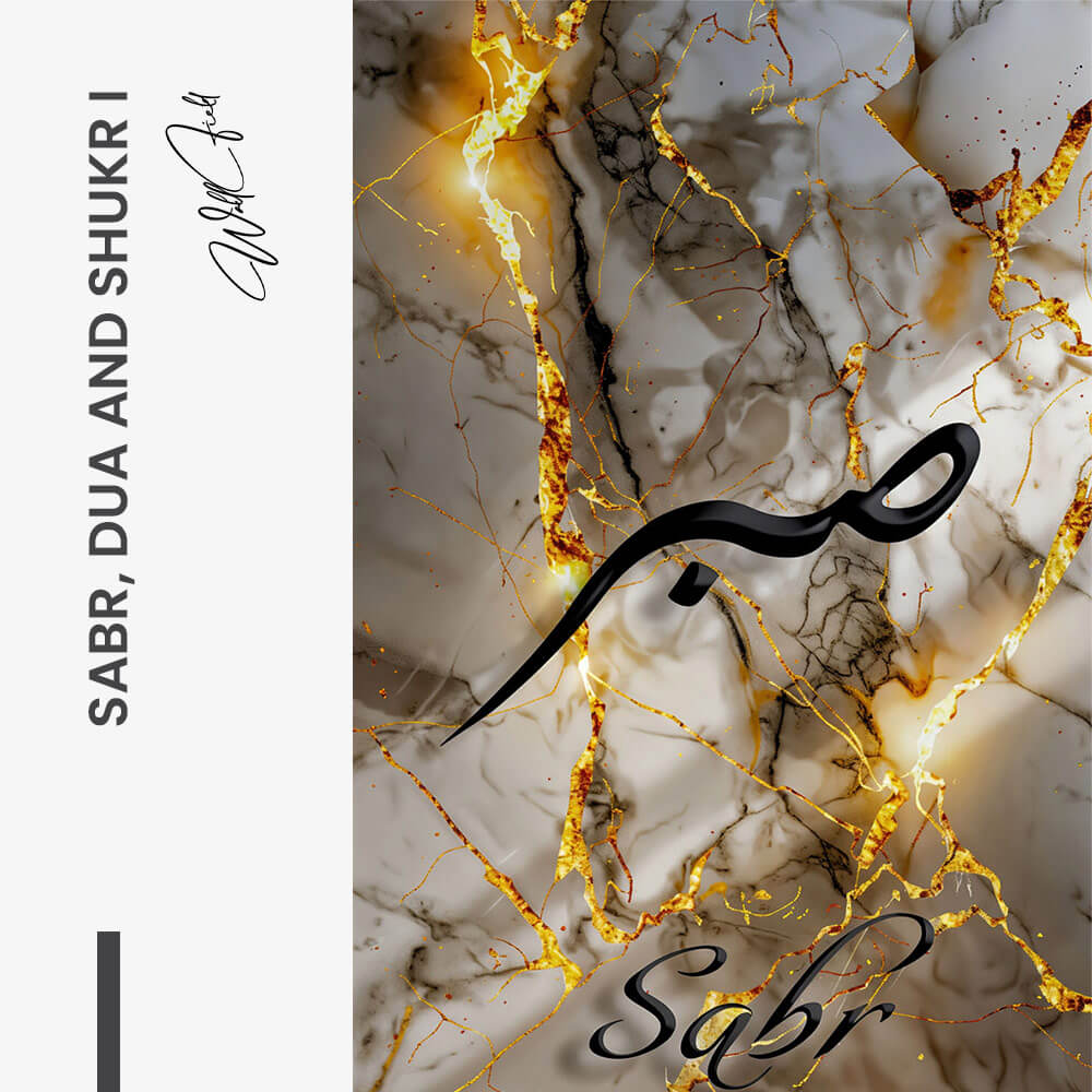Bundle: "Sabr, Dua & Shukr" – Vetro (3x)