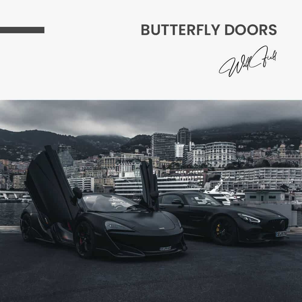 Butterfly Doors - Vetro