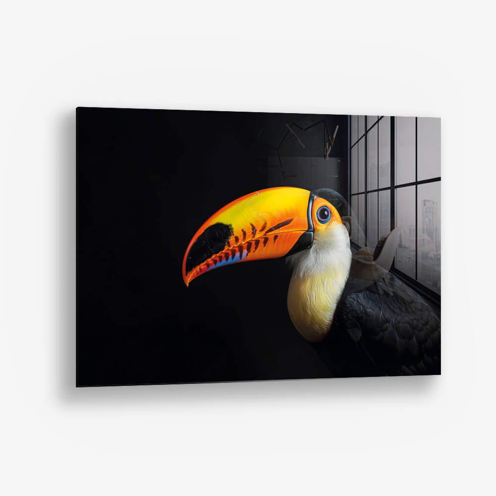 Toucan – Vetro