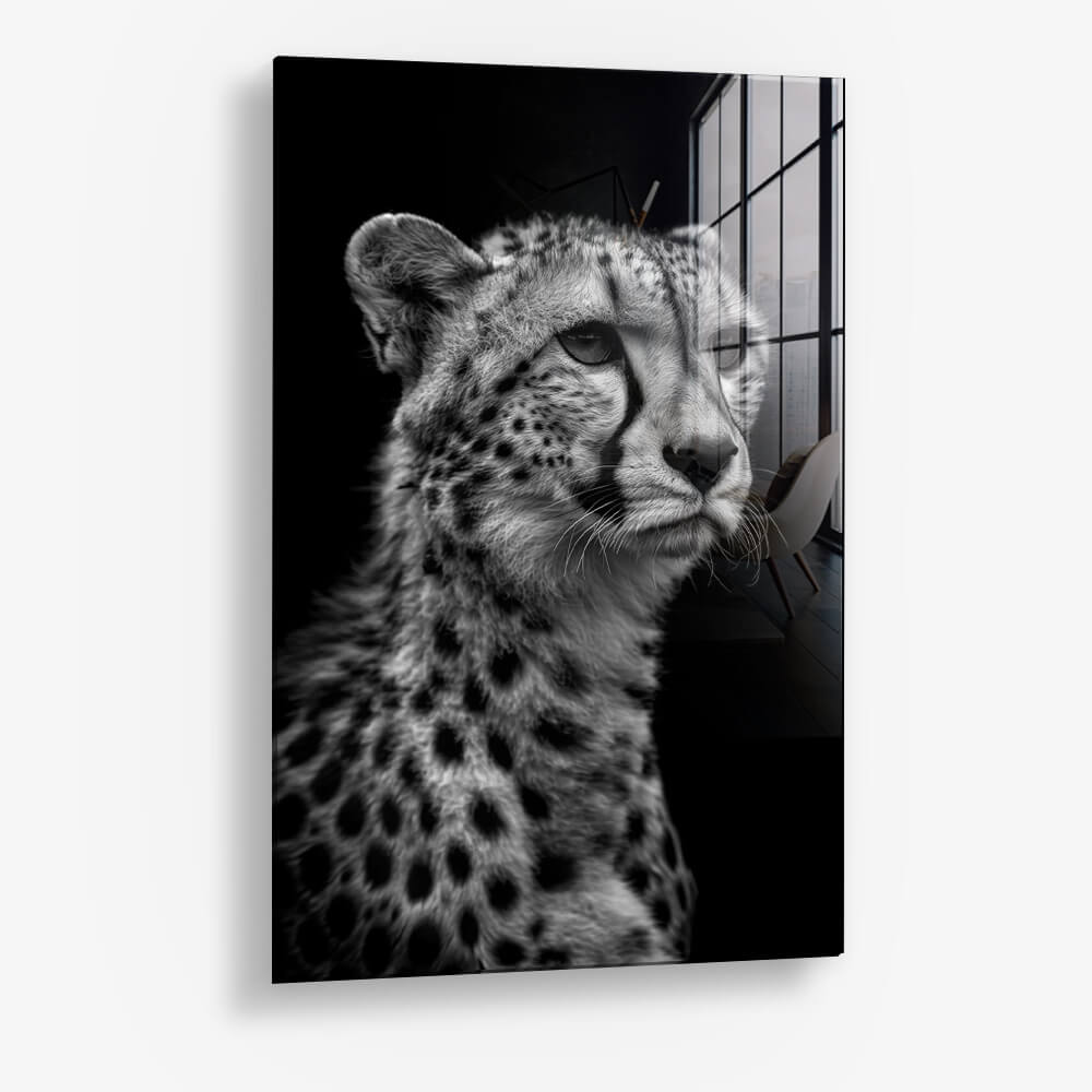 Cheetah's View – Vetro