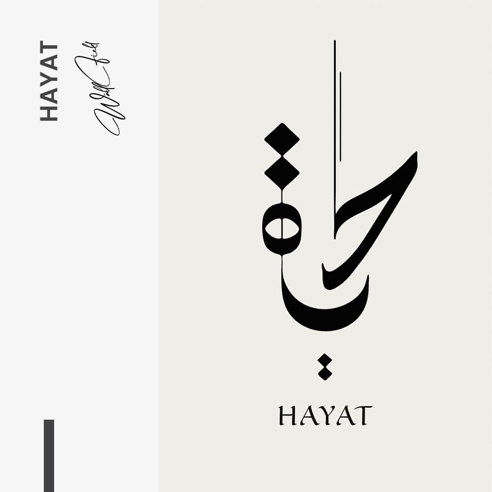Hayat – Vetro