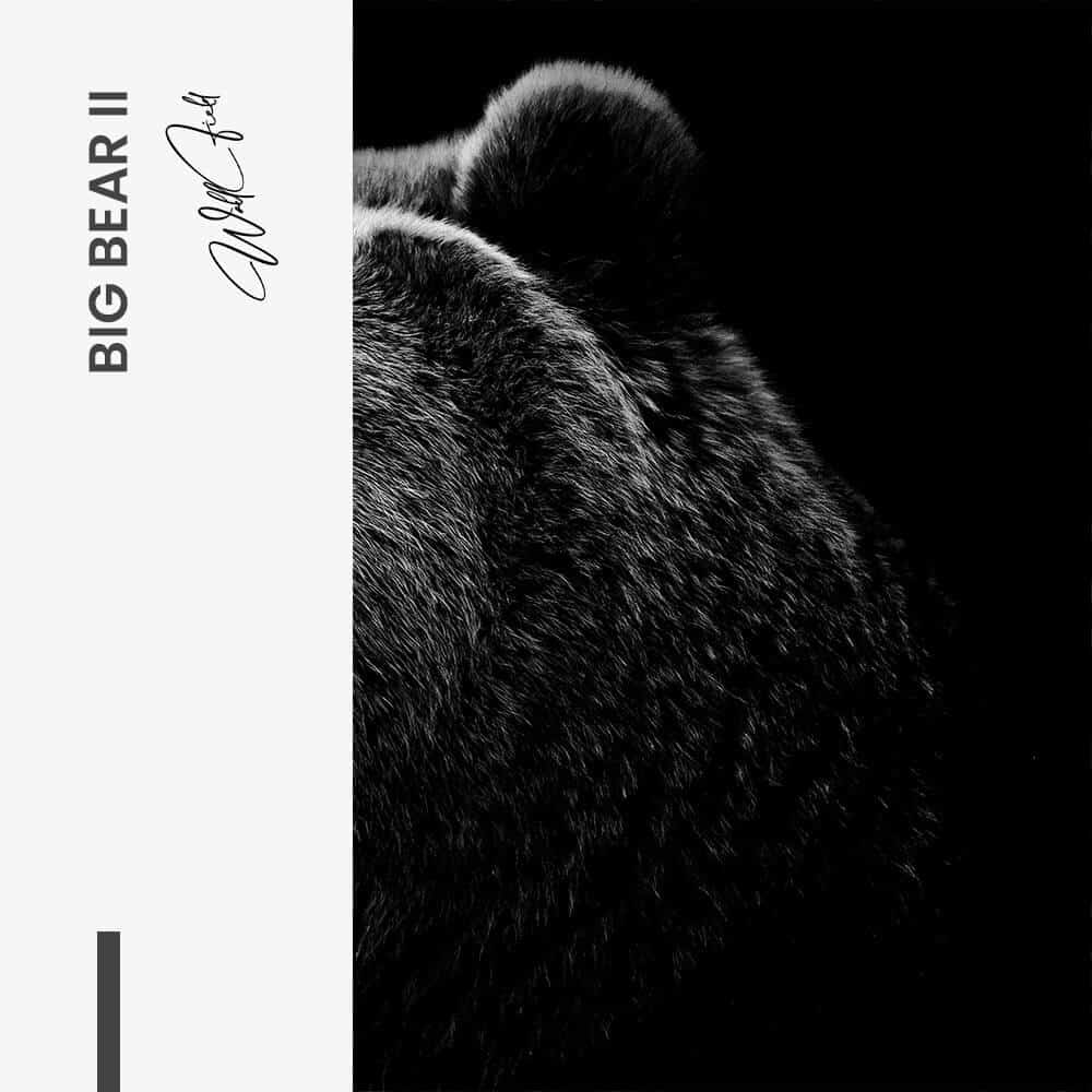 Bundle: "Big Bear" (2x) – Vetro