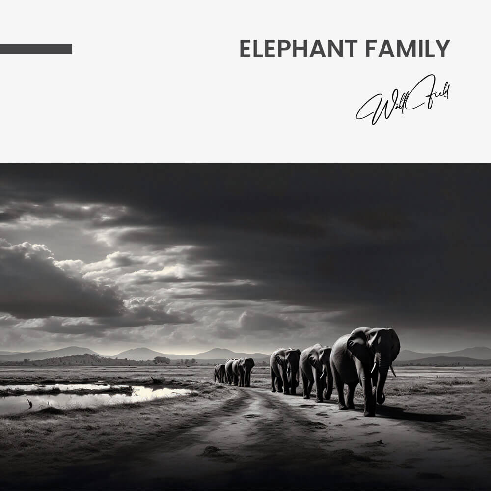 Elephant Family - Glass
