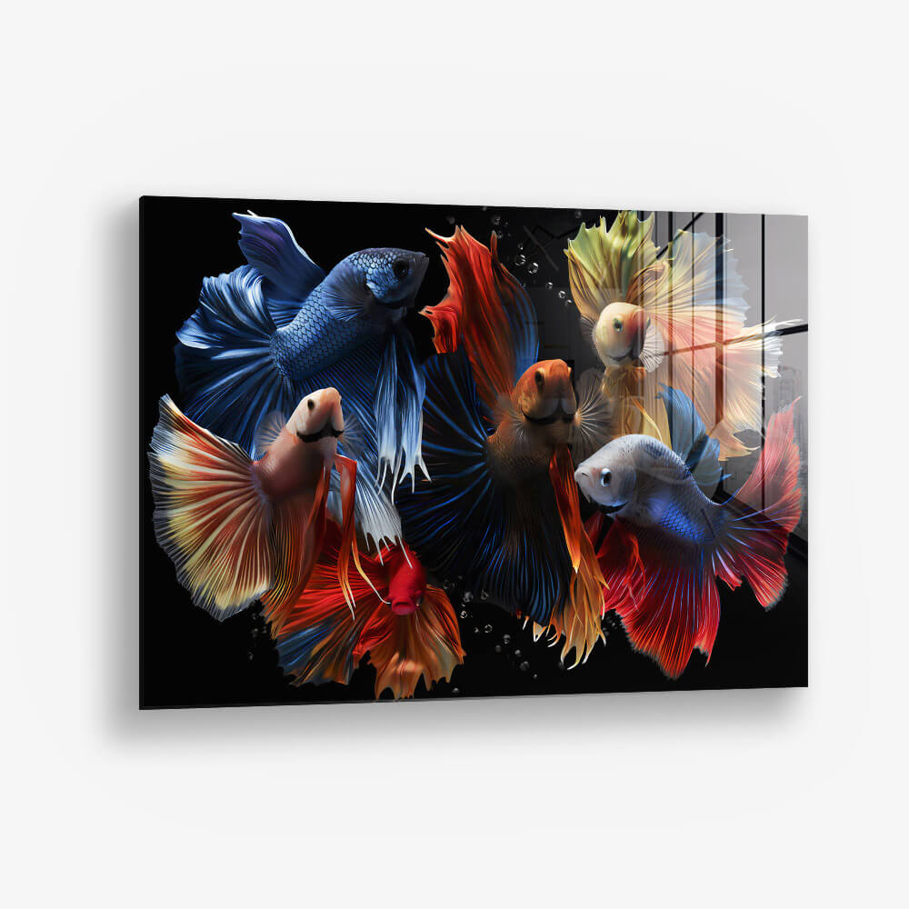 Colourful Fishes – Vetro