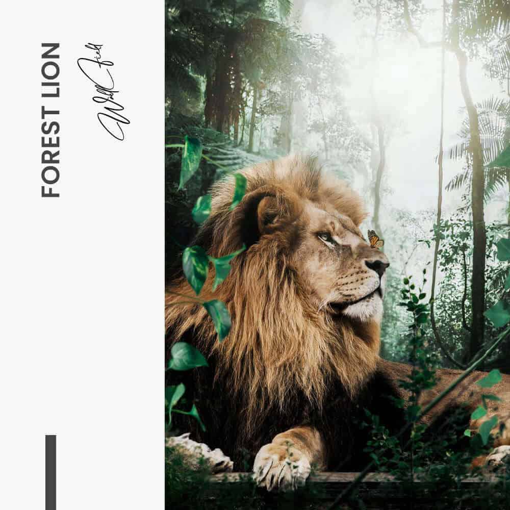 Forest Lion - Vetro