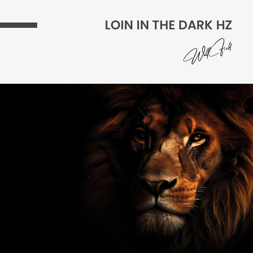 Lion In The Dark HZ – Vetro