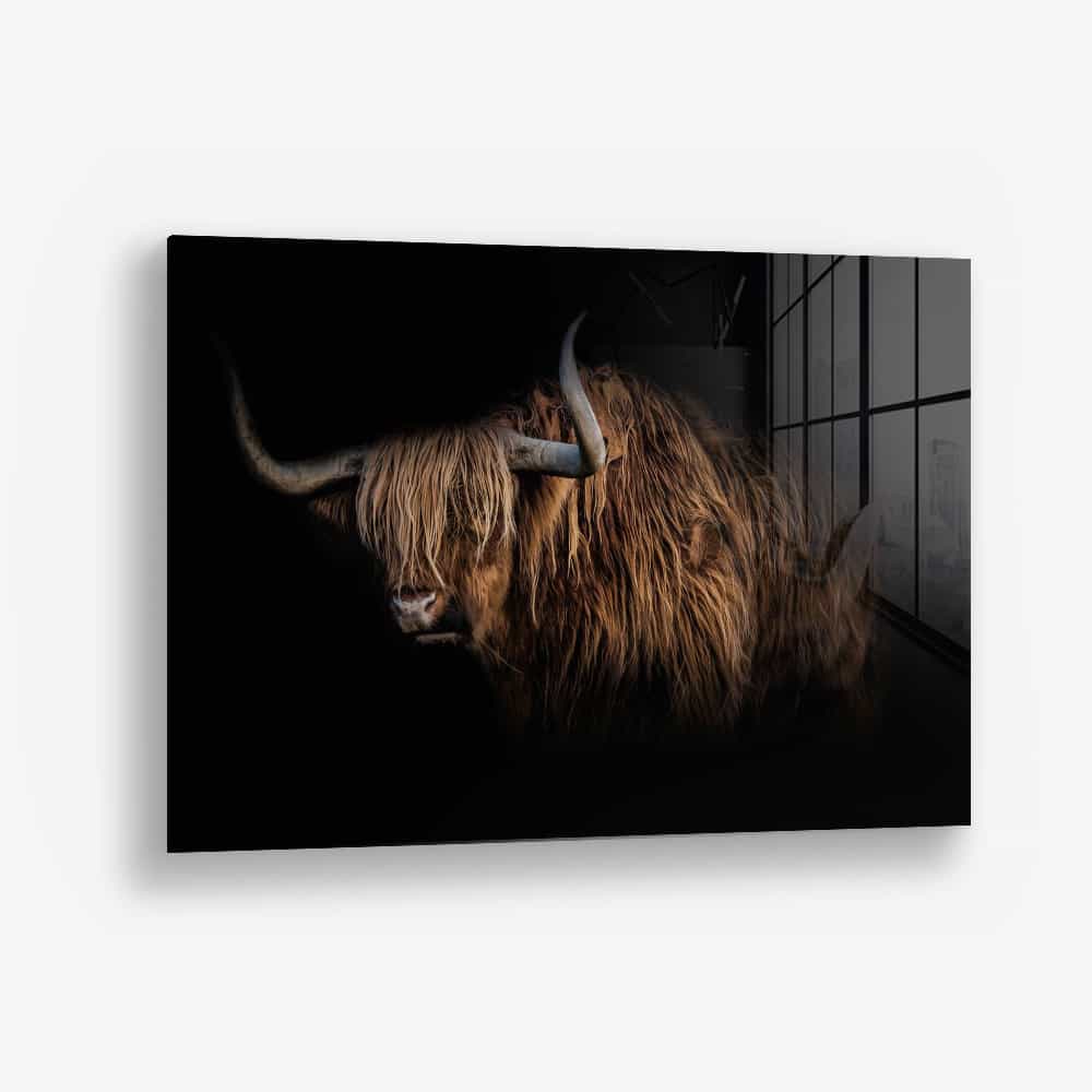 Highlander – Vetro
