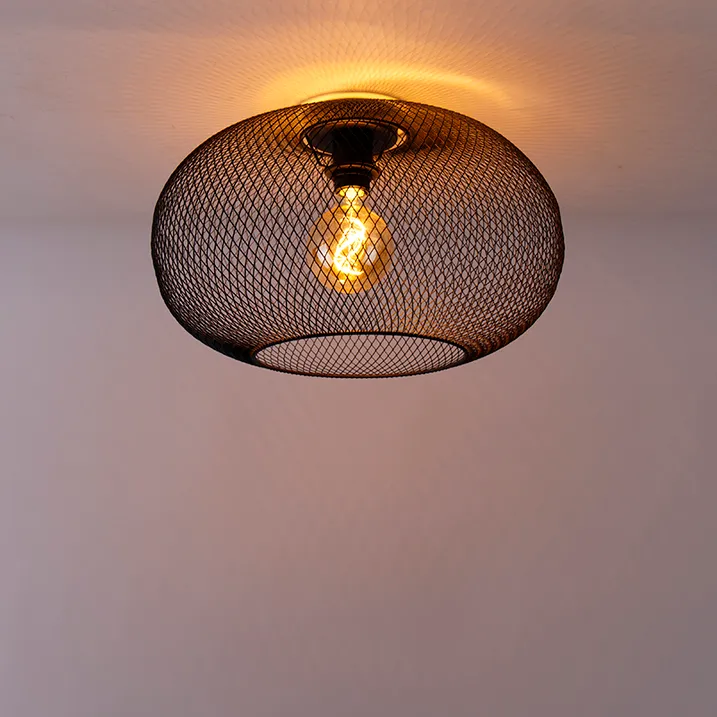 Modern Ceiling Lamps