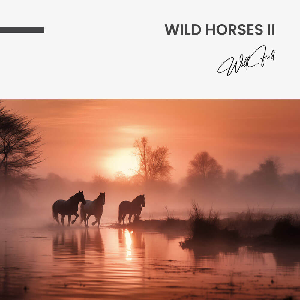 Wild Horses II – Vetro