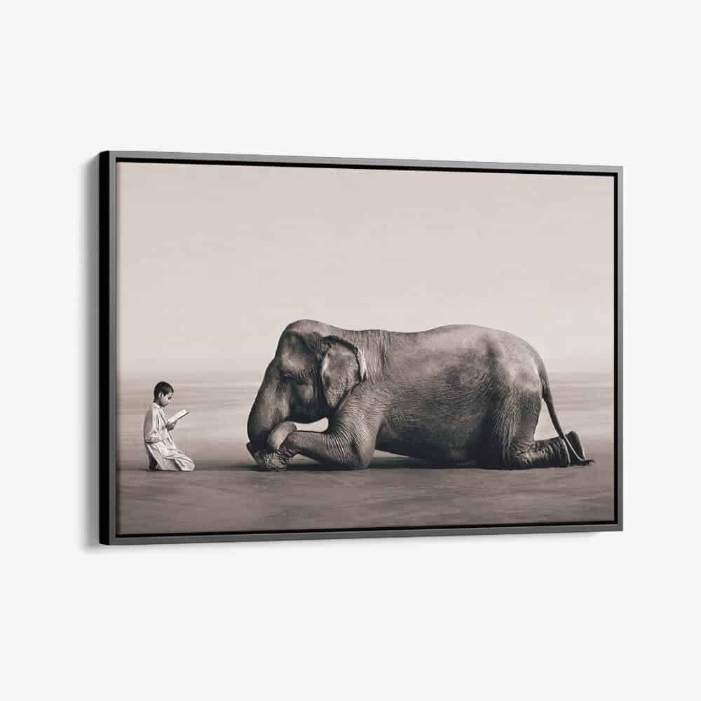 Elephants