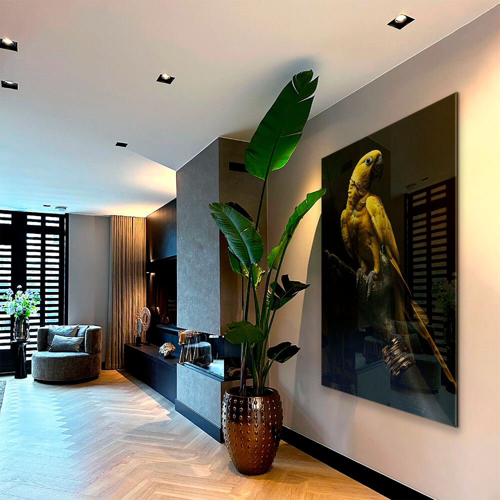 Golden Parrot – Vetro