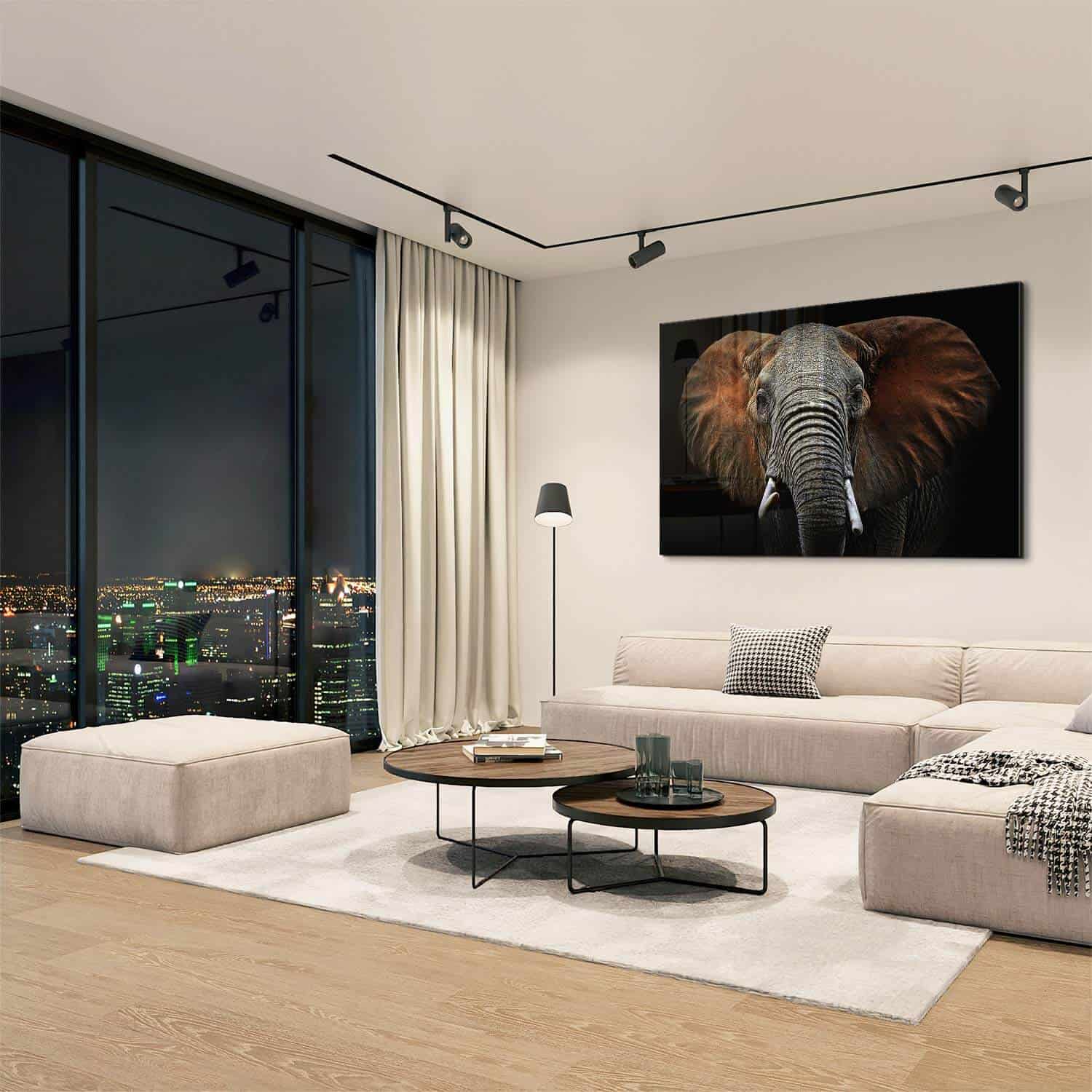 Wild Elephant – Vetro