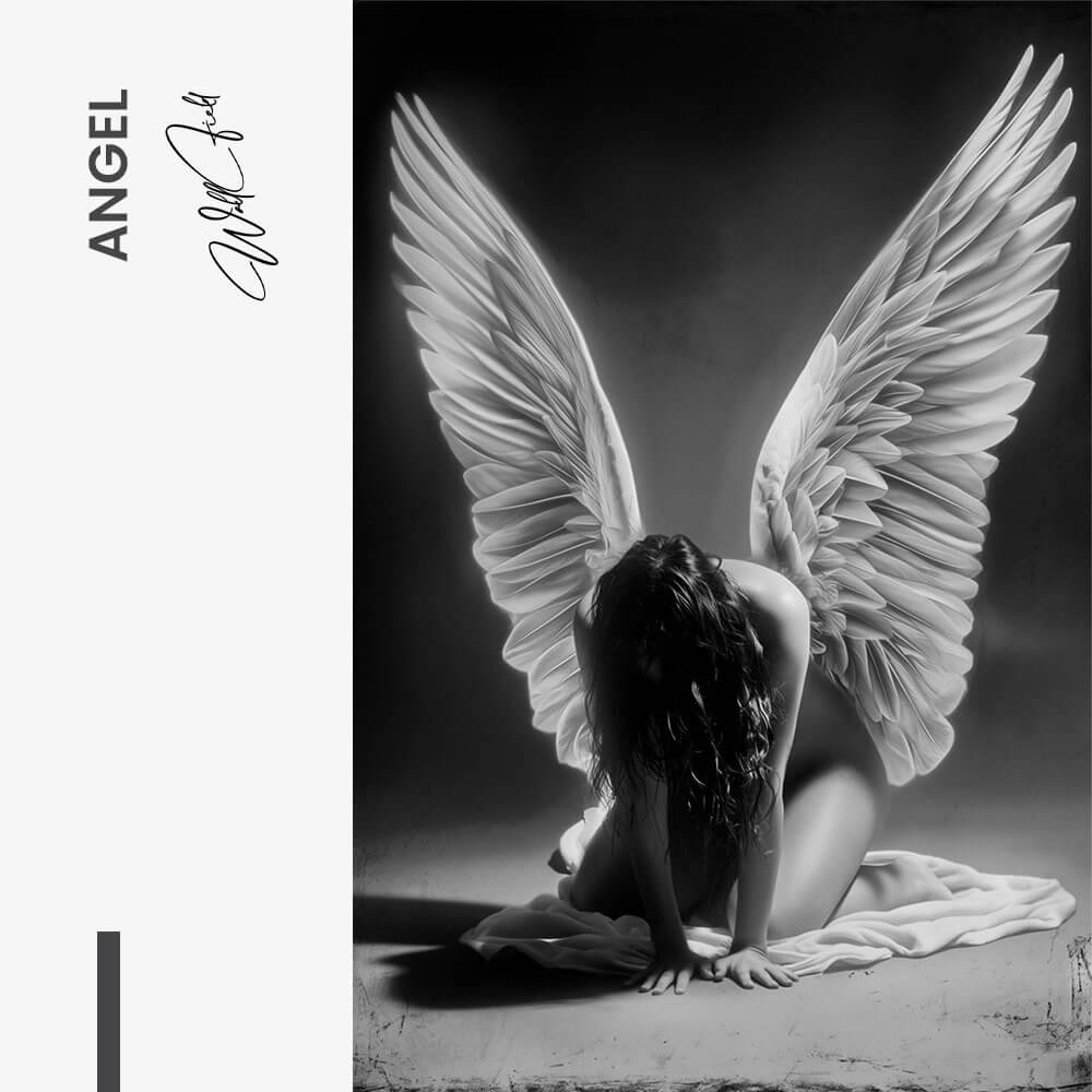 Angel – Vetro