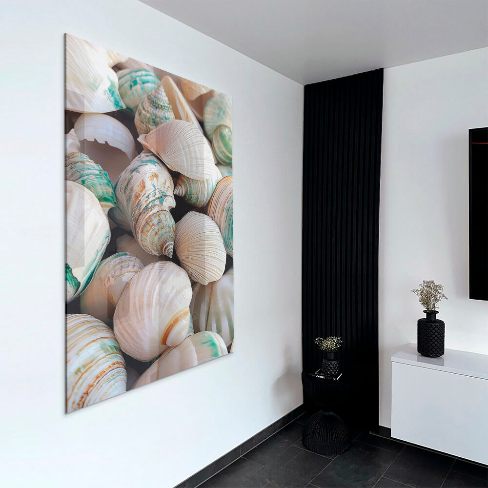 Sea Shell – Vetro
