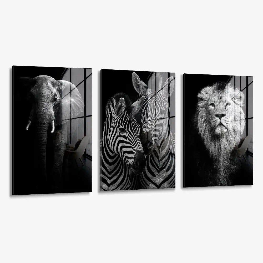 Bundle: "Safari" (3x) – Vetro