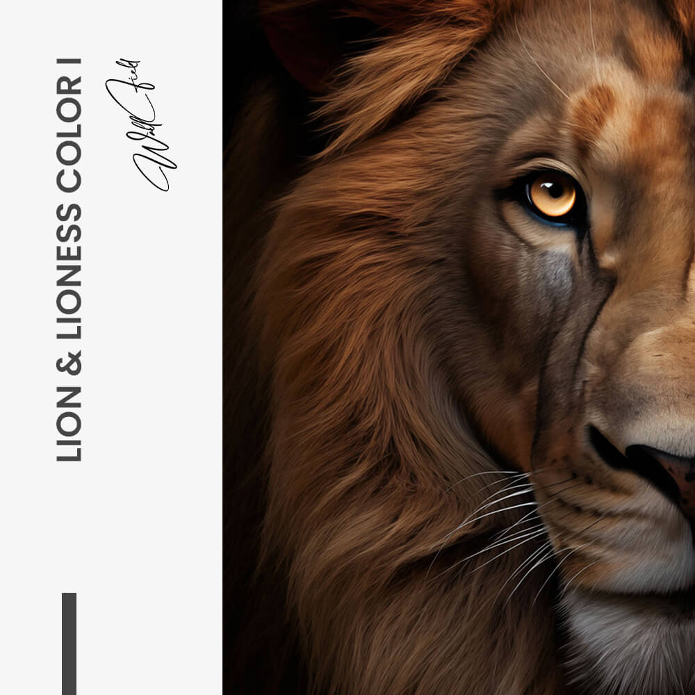 Bundle: "Lion & Lioness Color II" (2x) – Vetro