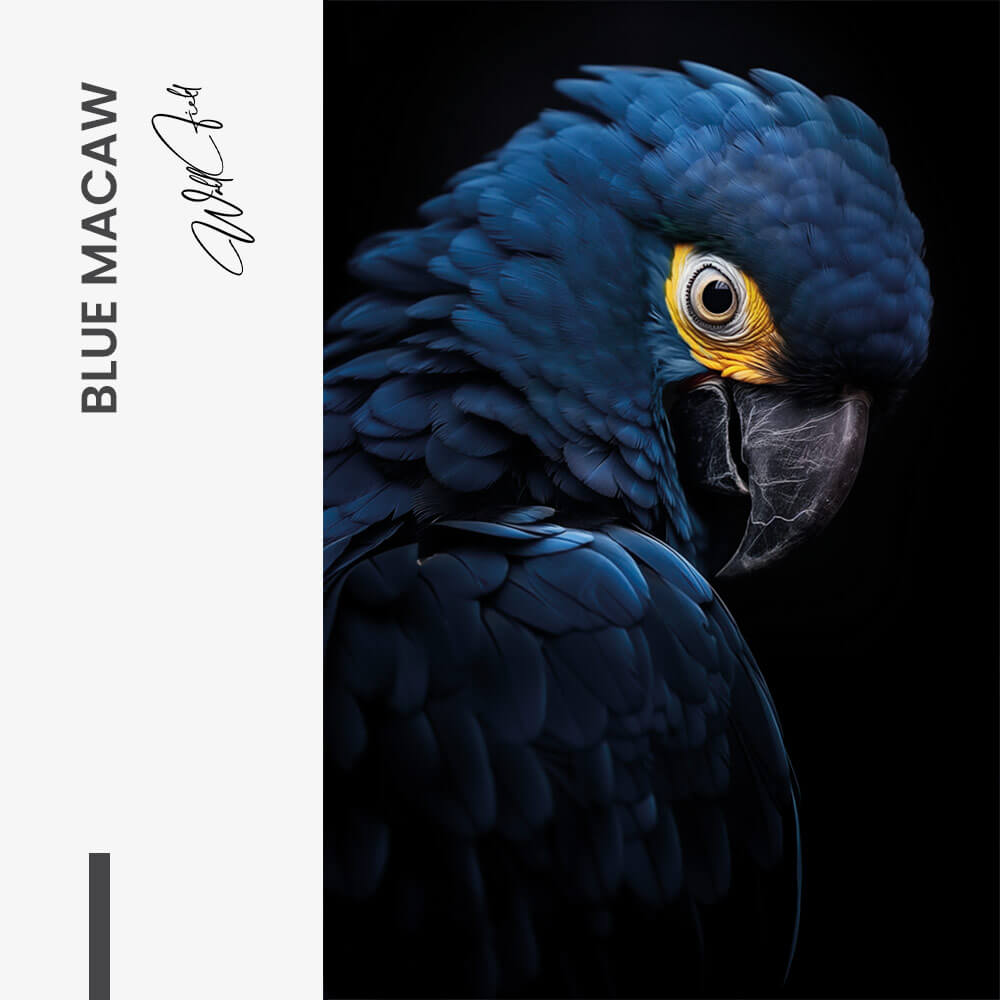 Blue Macaw – Vetro