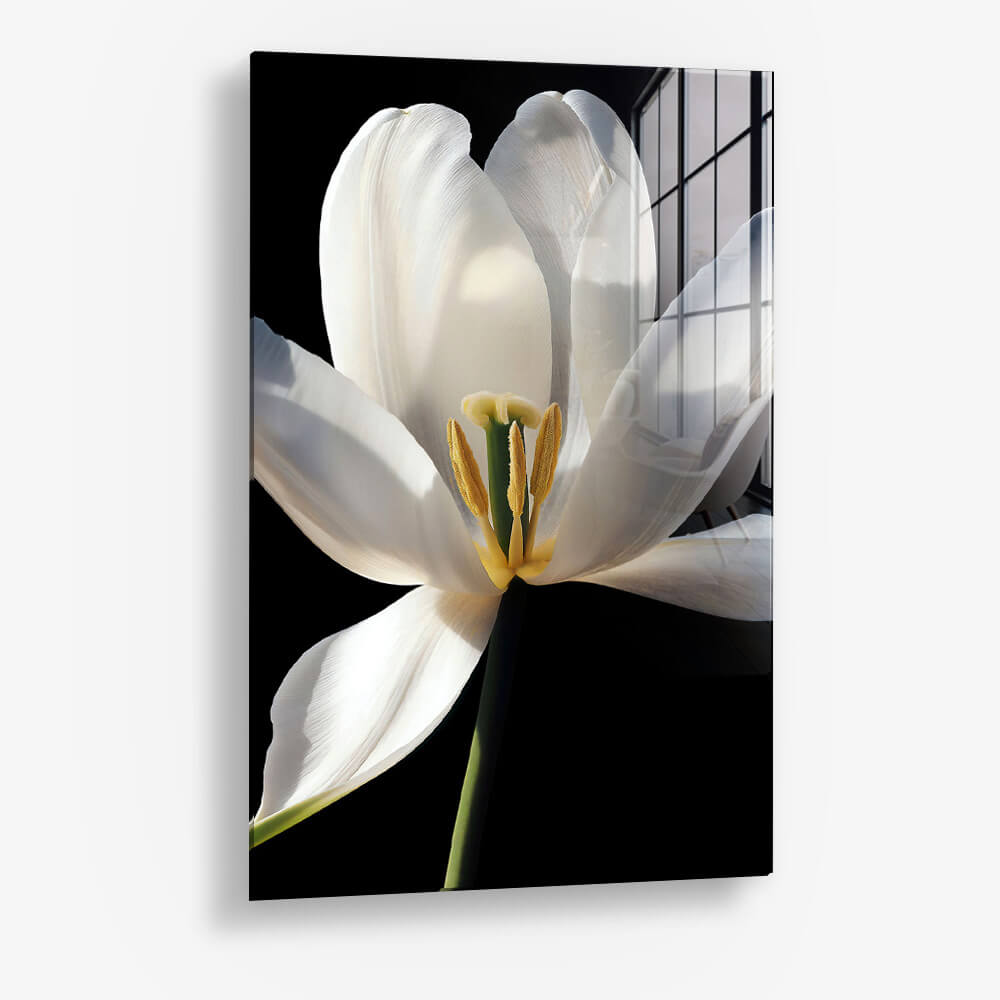 White Flower – Vetro