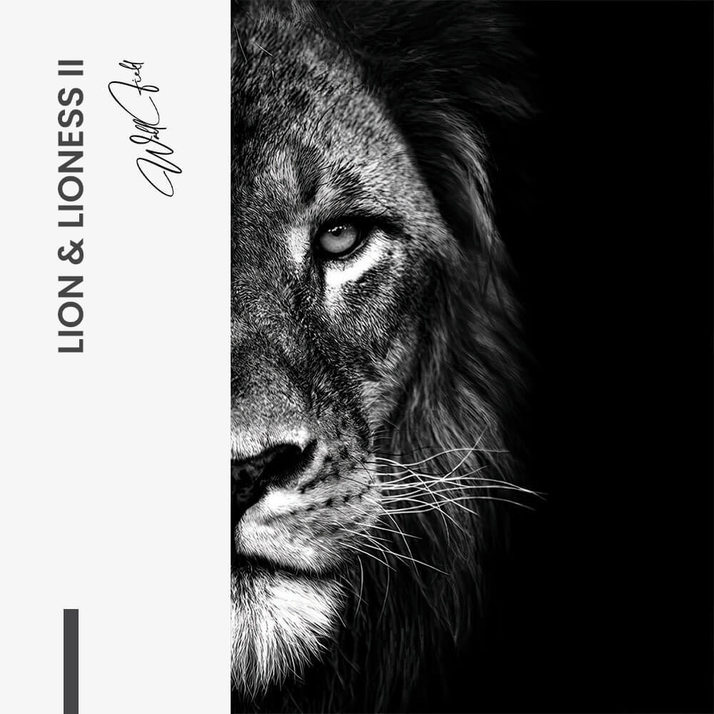 Bundle: "Lion & Lioness III" (2x) – Vetro