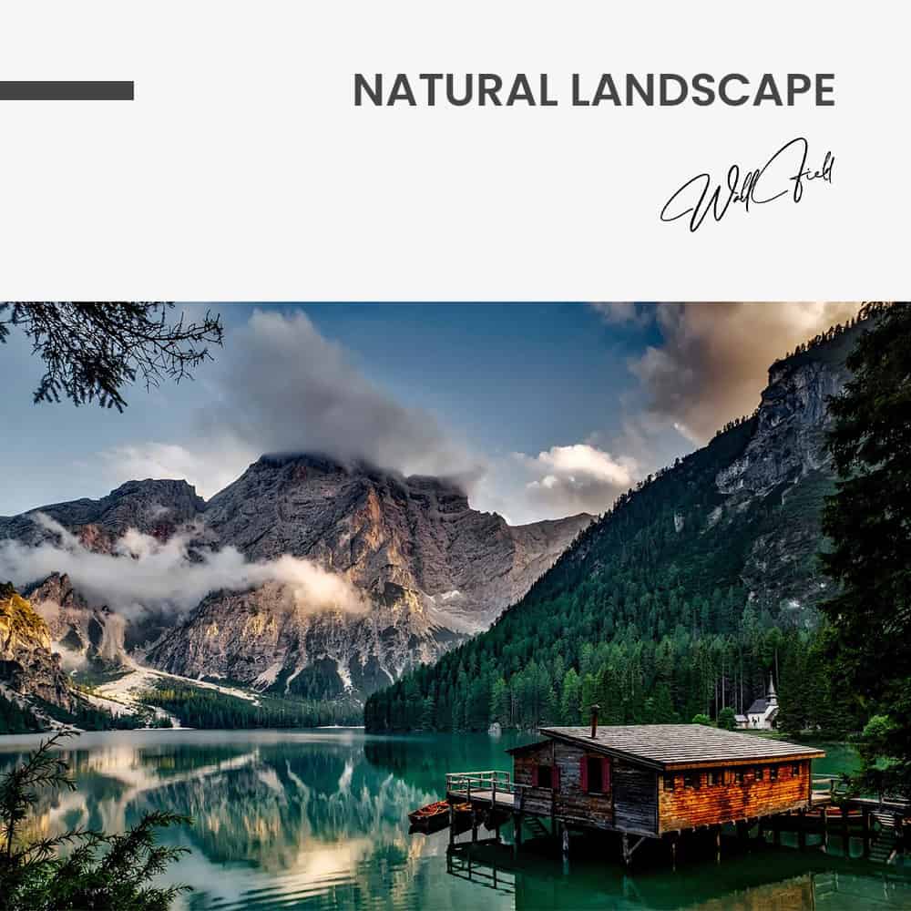 Natural Landscape – Vetro
