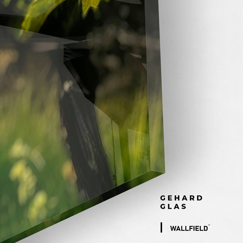 Vineyard Sun – Vetro