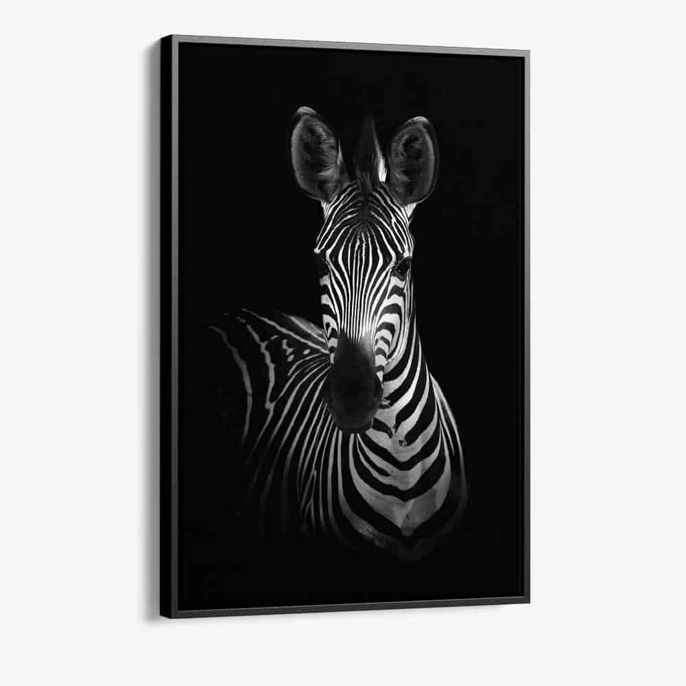 "The Zebra"