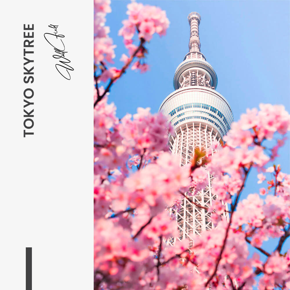 Tokyo Skytree – Vetro