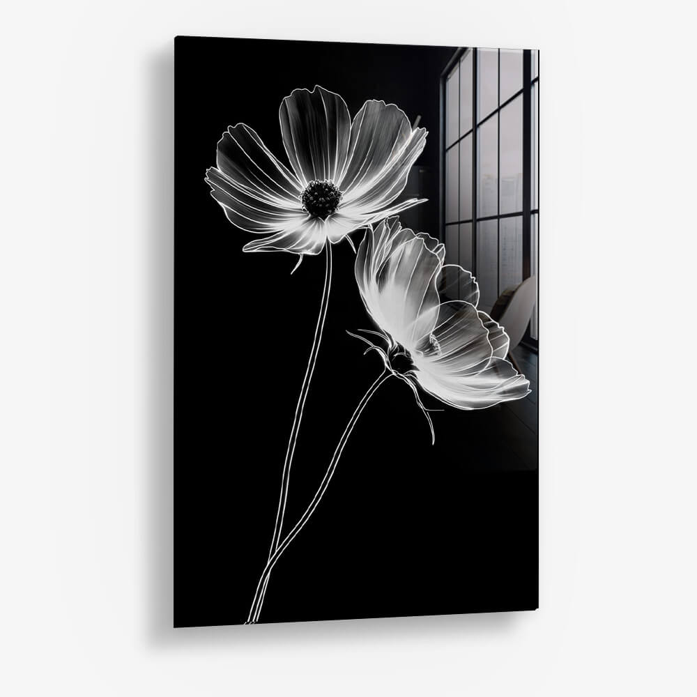 X-Ray Flowers – Vetro