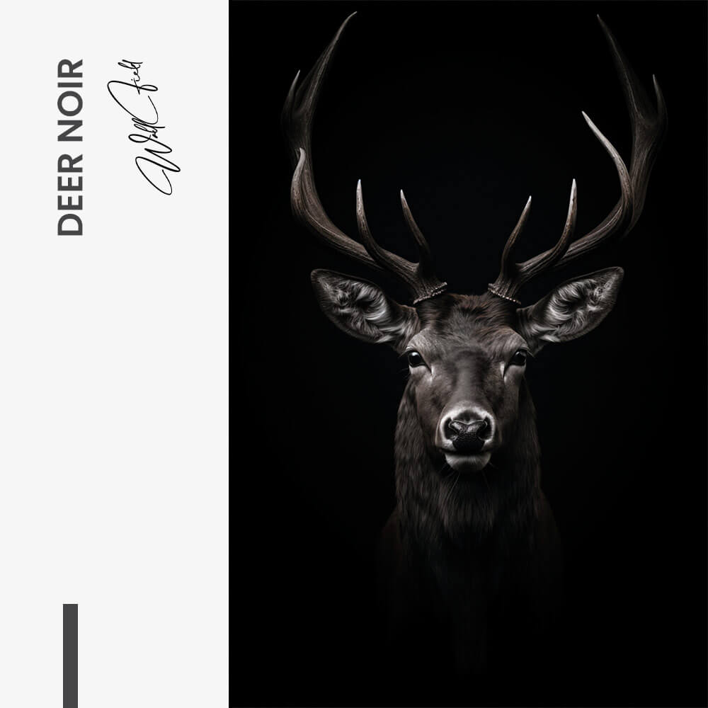 Deer Noir – Vetro