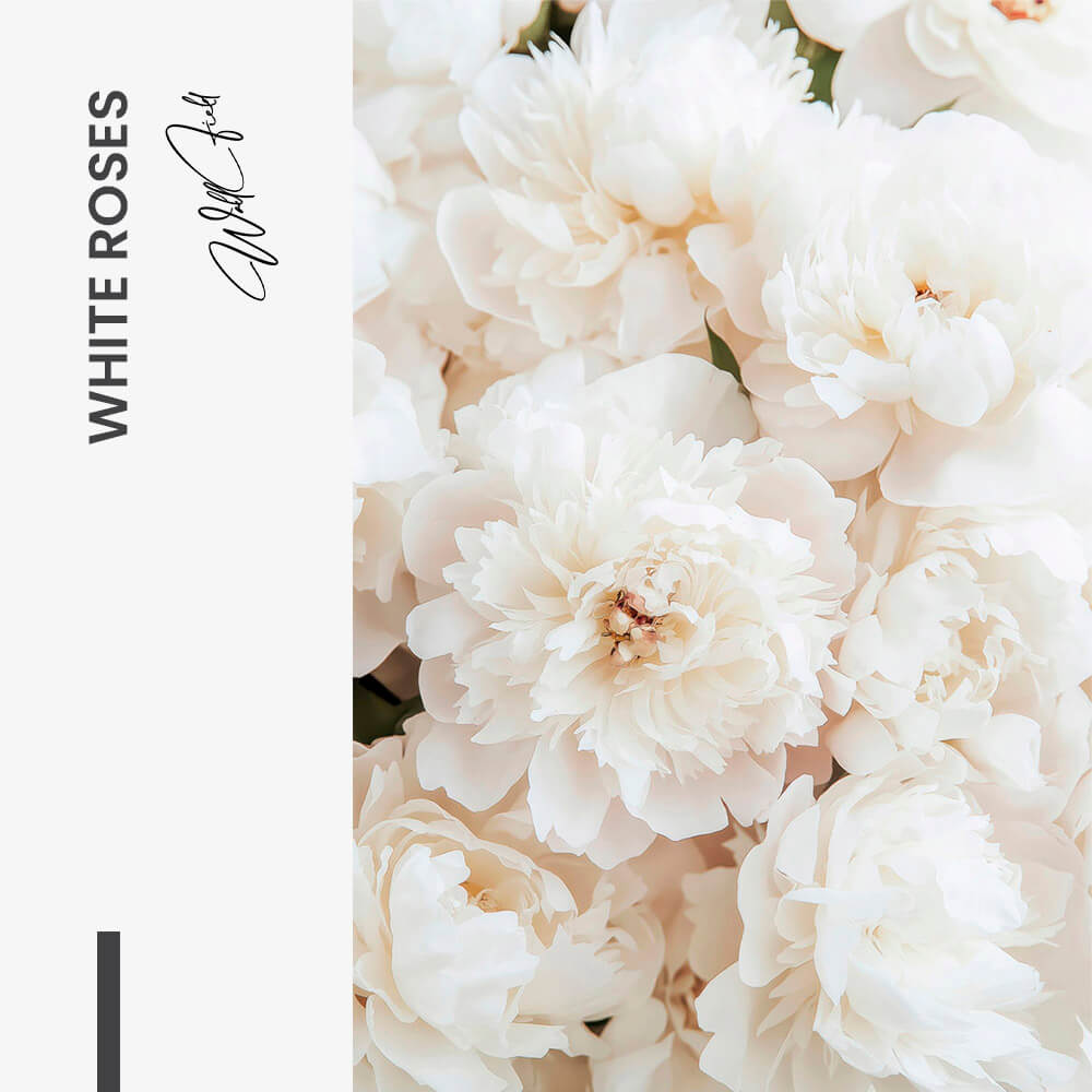 White Roses – Vetro