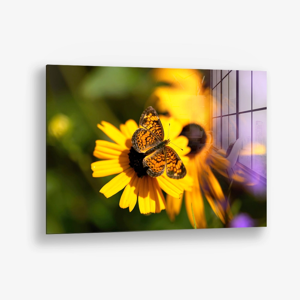 Petal Circuit – Glass
