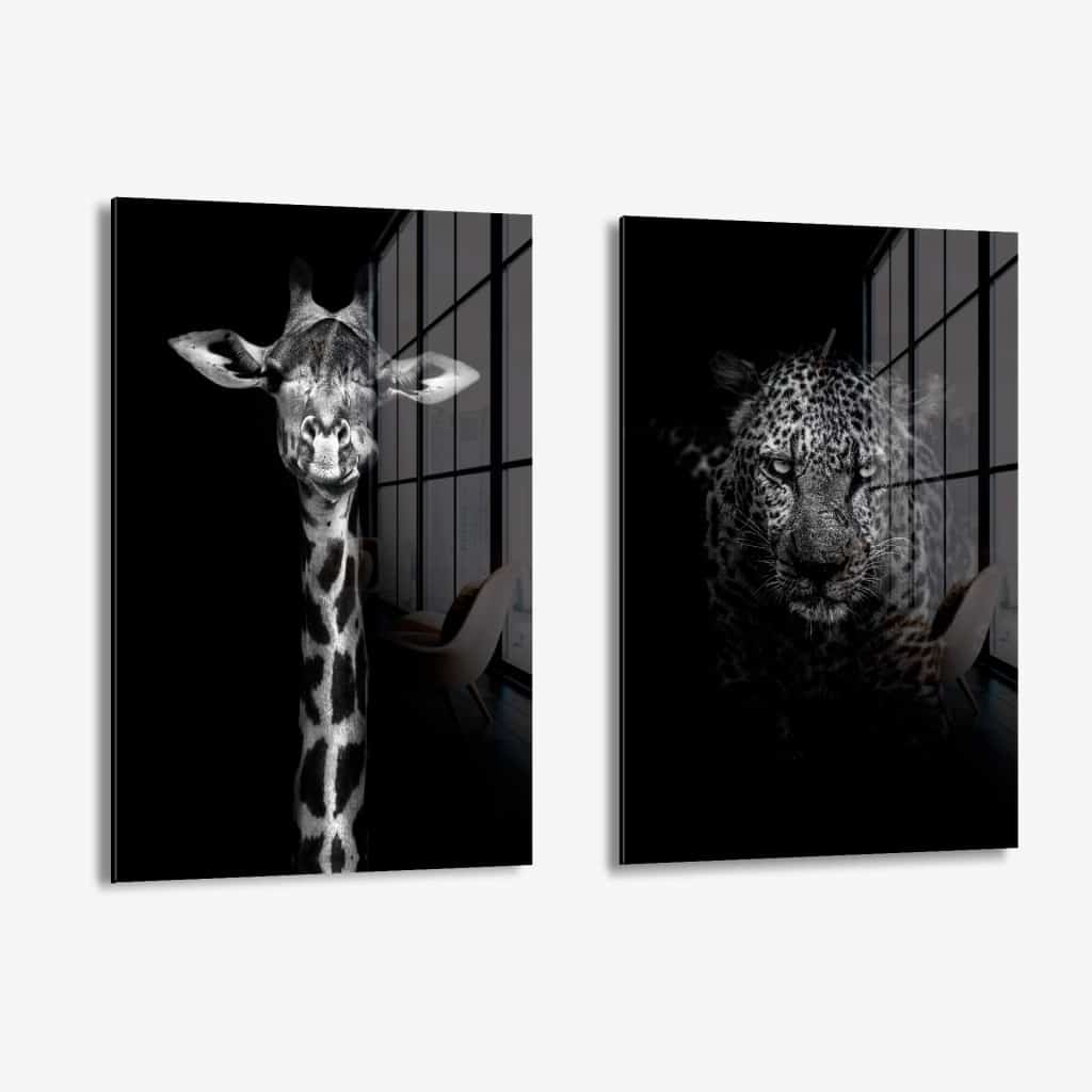 Bundle: "Black Animals" (2x) – Vetro