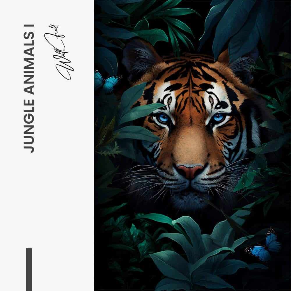 Bundle: "Jungle Animals" (3x) – Vetro
