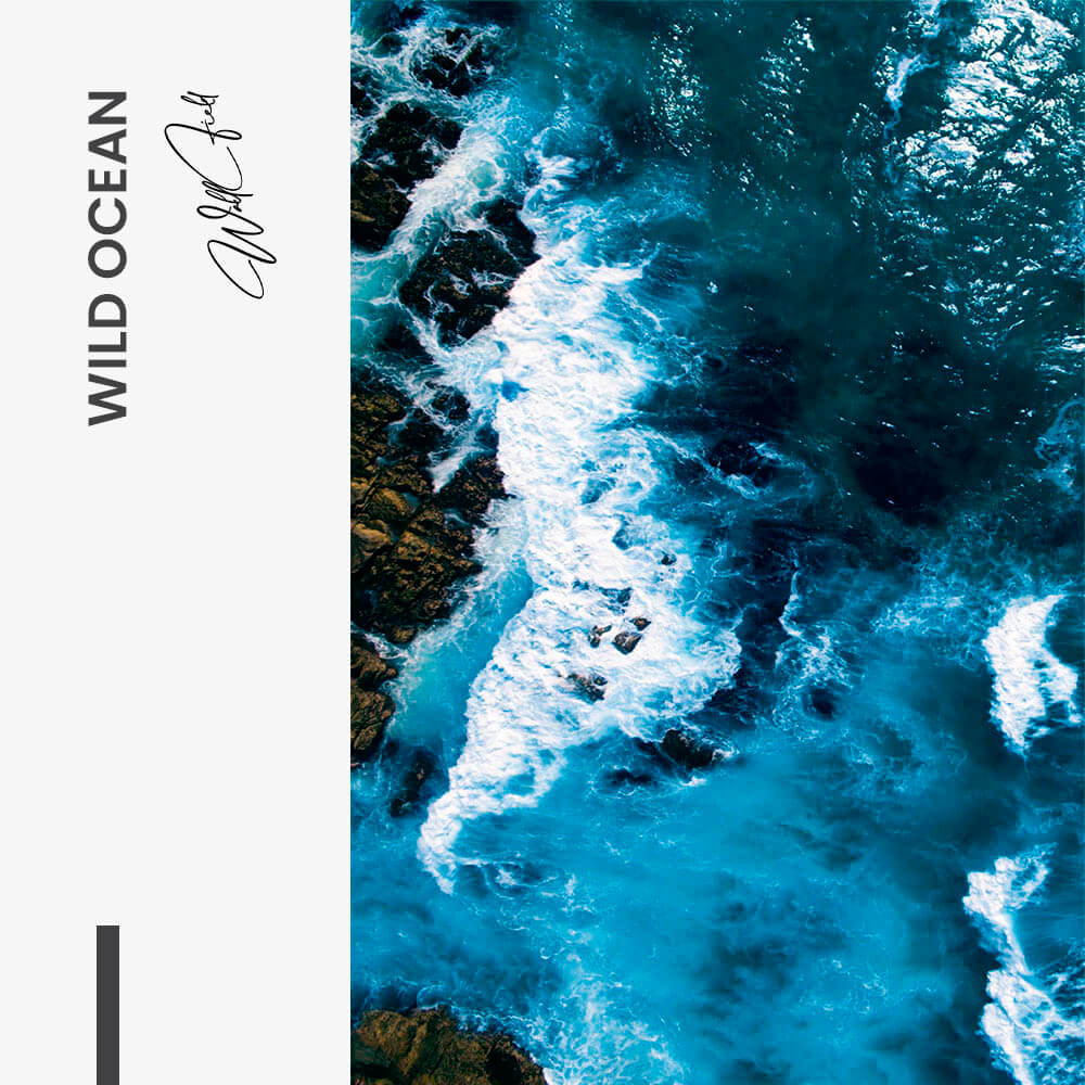 Wild Ocean – Vetro