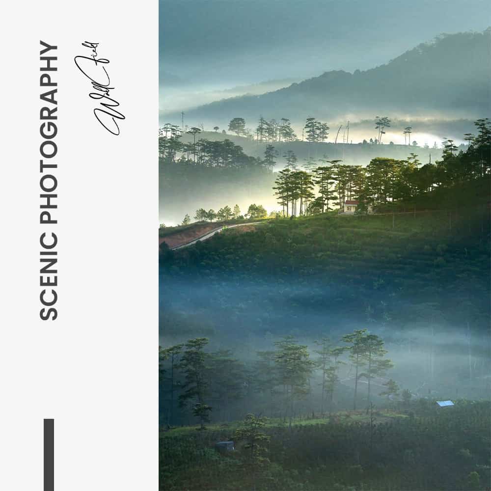Scenic Photography – Vetro