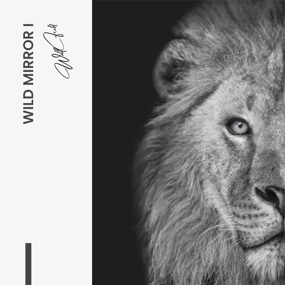 Bundle: "Wild Mirror" (2x) – Vetro