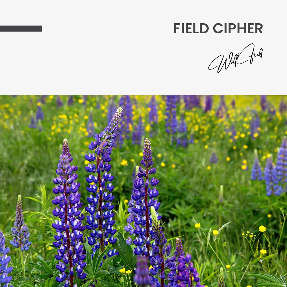 "Field Cipher"