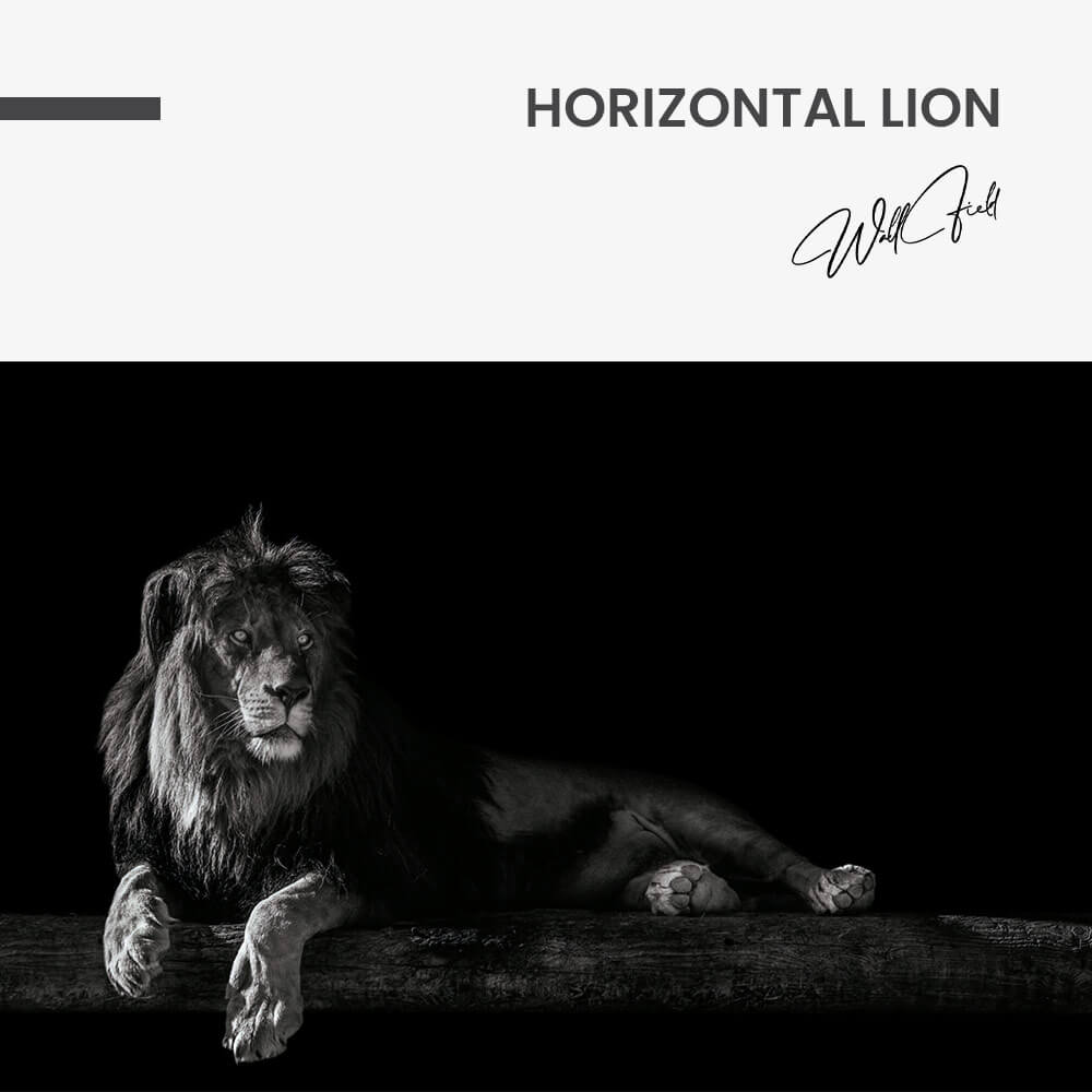 Horizontal Lion – Vetro