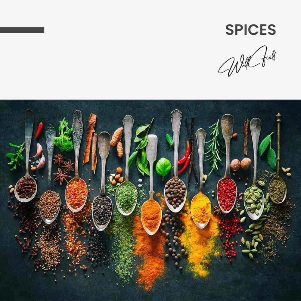 Spices – Vetro
