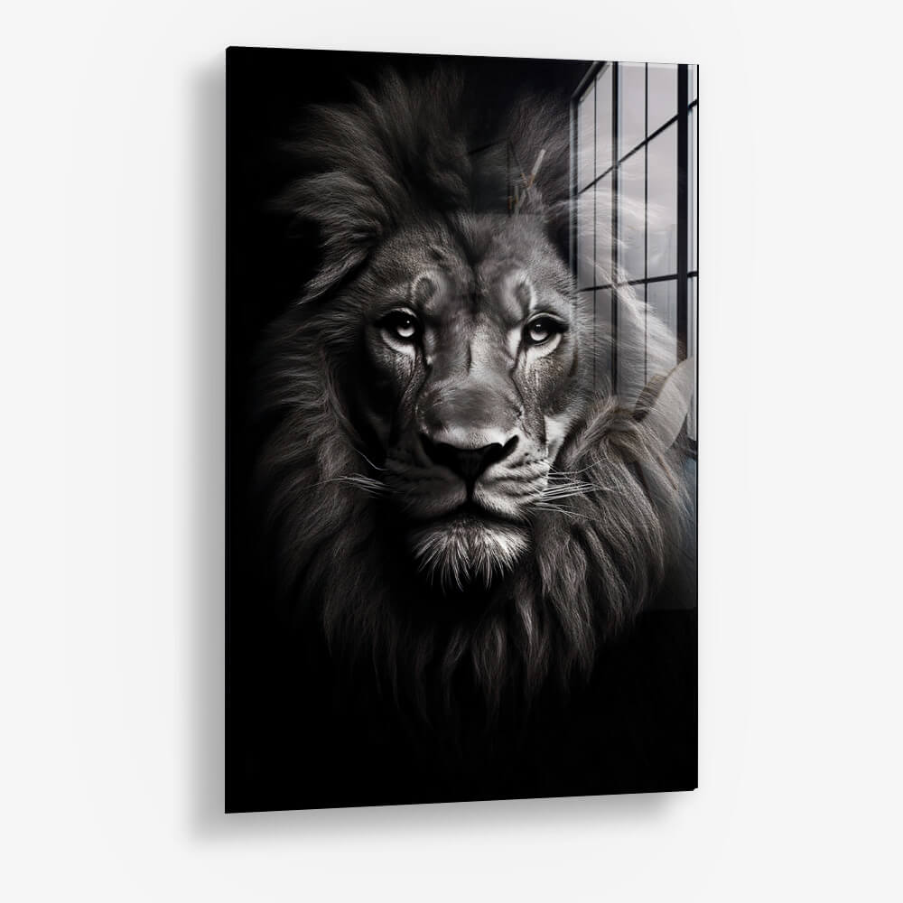 Lion Close-Up - Glass