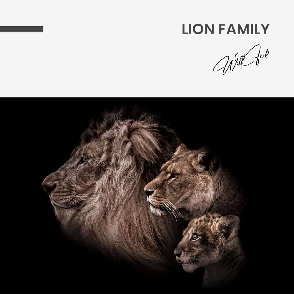 Lion Family – Vetro