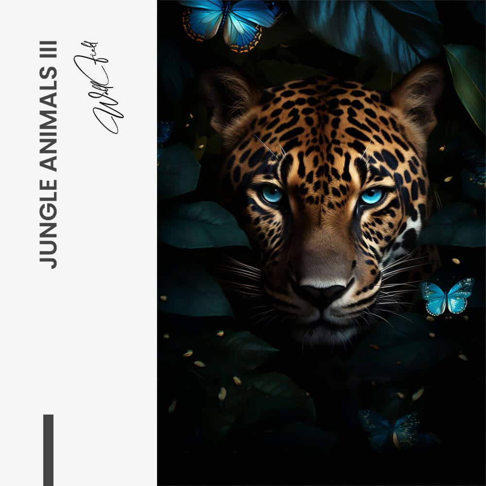 Bundle: "Jungle Animals" (3x) – Vetro