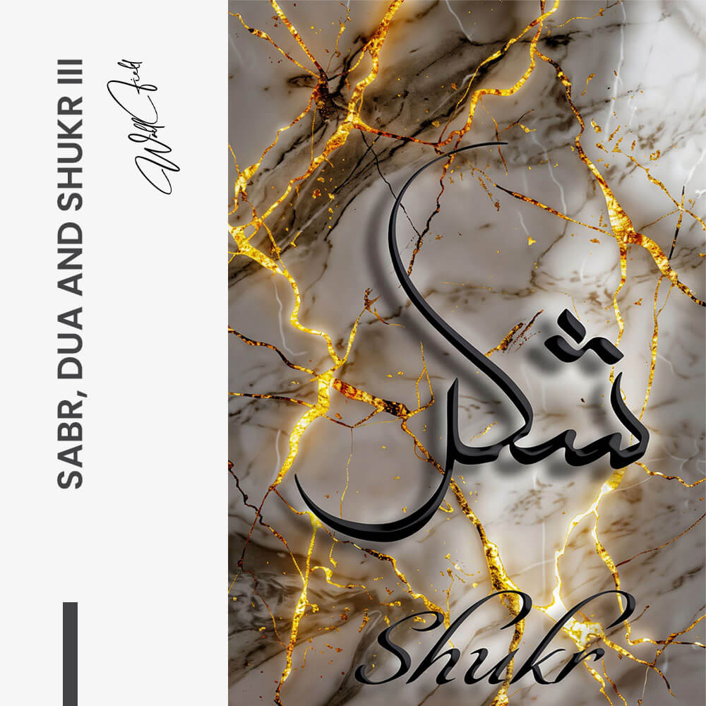 Bundle: "Sabr, Dua & Shukr" – Vetro (3x)
