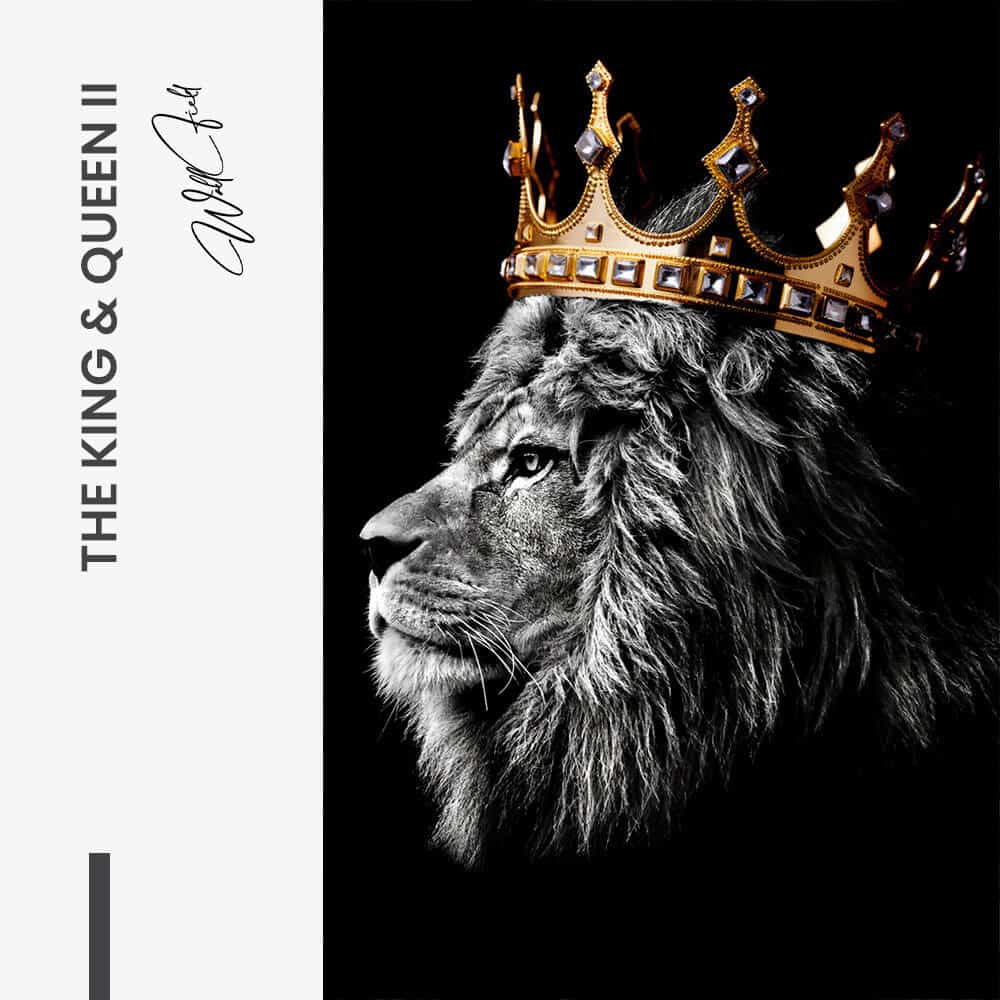 Bundle: "The King Queen" (2x) – Vetro