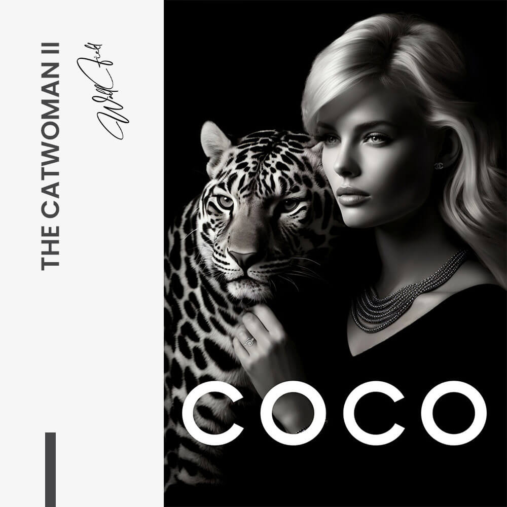 The Catwoman II – Vetro