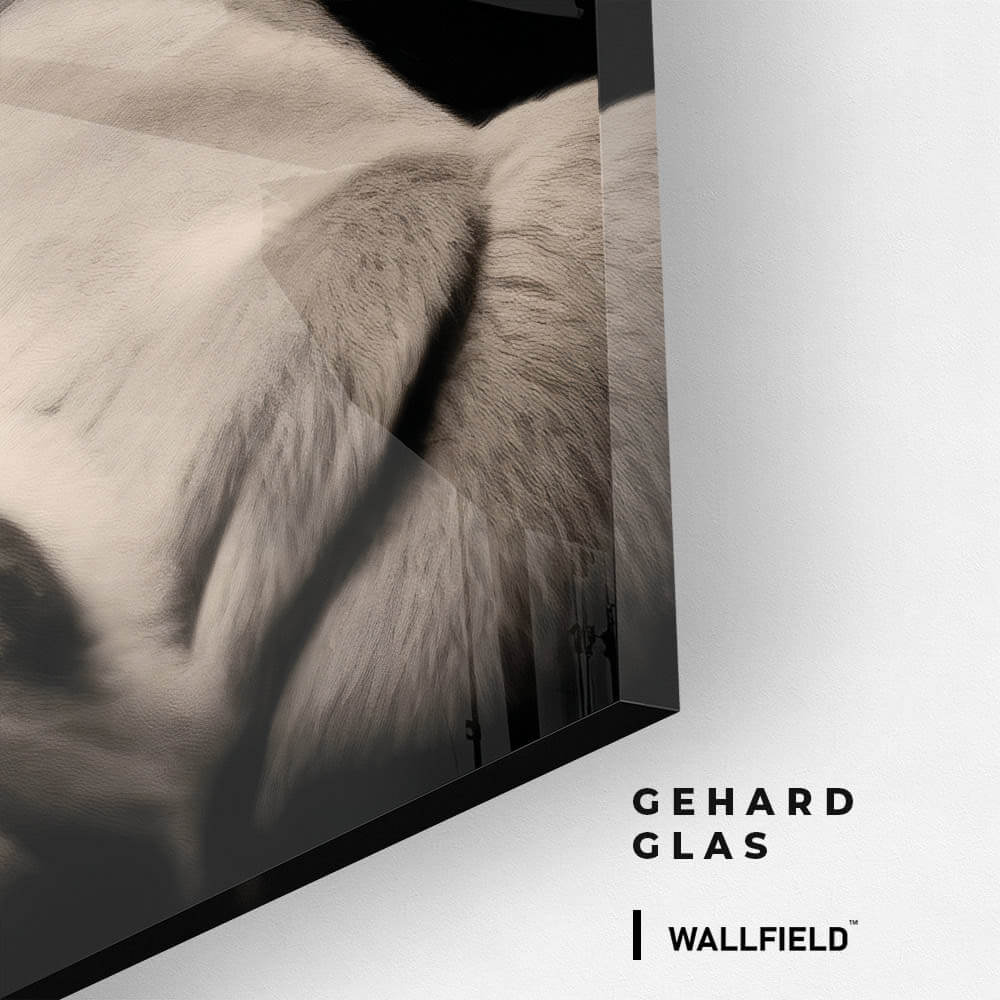 King of the Wild – Vetro