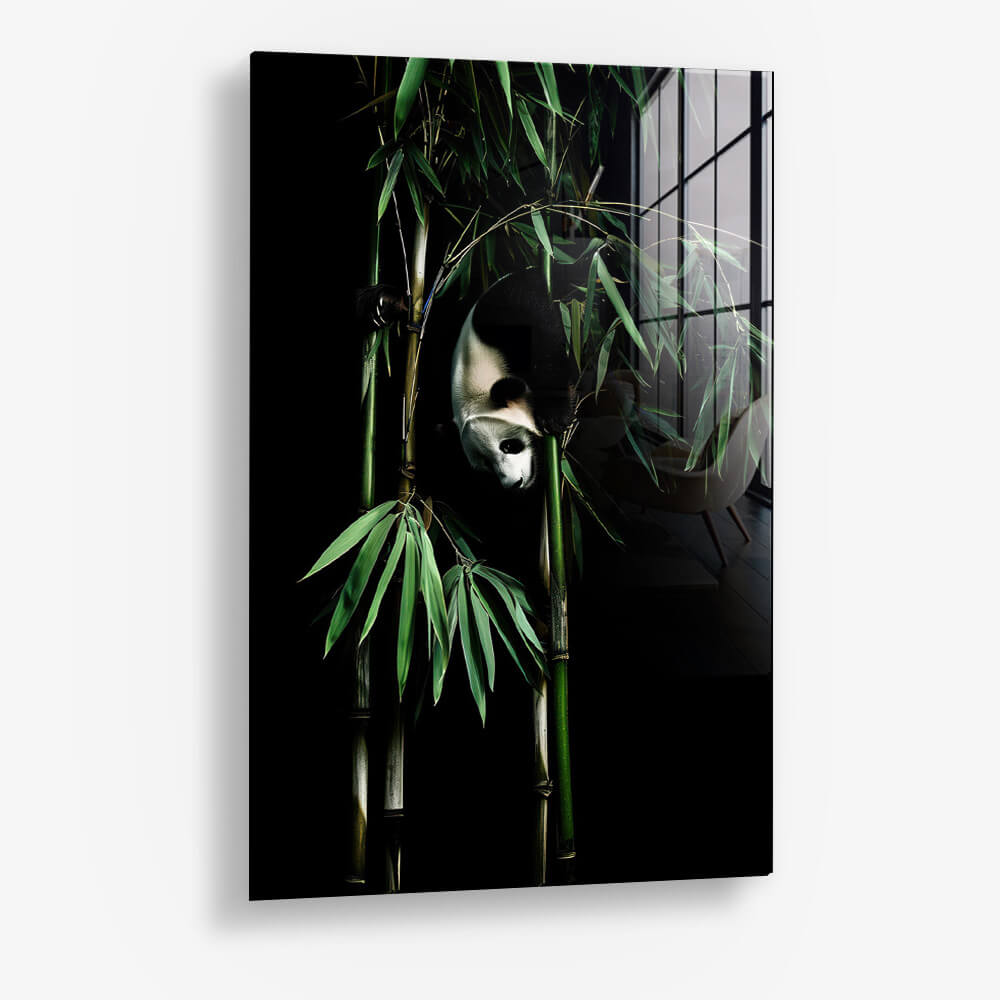The Panda – Vetro
